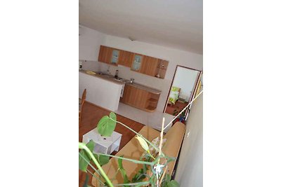 Vakantieappartement Gezinsvakantie Palit