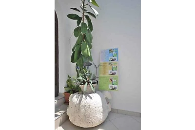 Vakantieappartement Gezinsvakantie Lastovo
