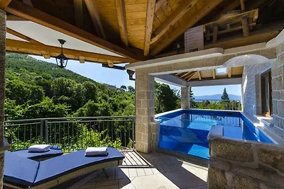Ferienhaus mit Wellnes und Pool