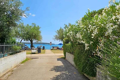 Studio mit Terrasse, 15 m vom Meer entfernt