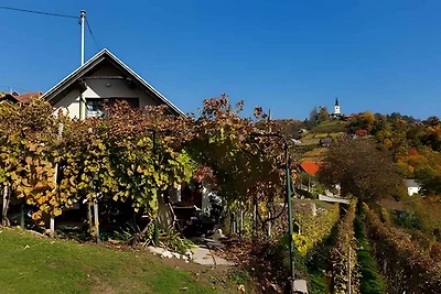 Ferienwohnung mit herrlichen Blick auf