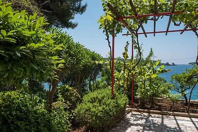 Ferienwohnung nur 30 m vom Strand entfernt