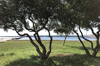 Ferienwohnung in Strandnähe mit Terrasse
