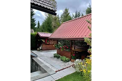 Ferienhaus mit Internetanschluss