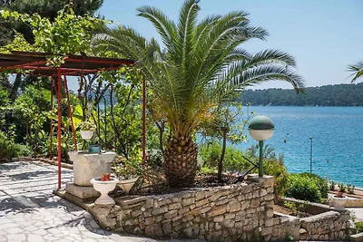 Ferienwohnung nur 30 m vom Strand entfernt