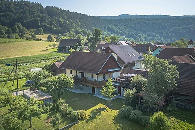 Ferienwohnung in einem Weinberghäuschen mit z