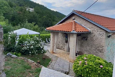 Ferienhaus mit und Meerblick