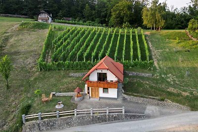 Ferienhaus auf dem Weinberghügel in der Nähe 