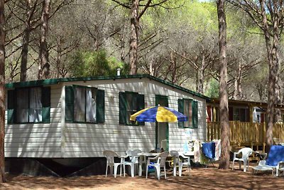 Mobilehome mit Terrasse und Klimaanlage