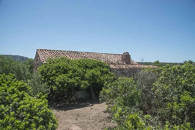 Vakantiehuis Ontspannende vakantie Sassari