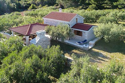 Ferienhaus mit Gartenpavillon