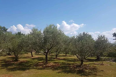 Ferienwohnung mit Gartenterasse
