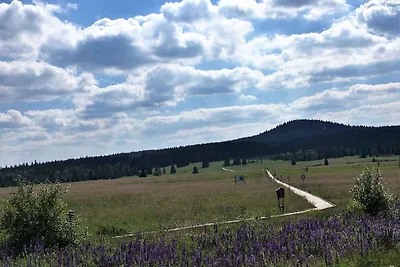 Ferienwohnung in Erzgebirge mit Möglichkeit