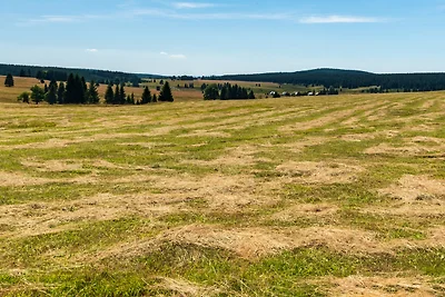 Ferienhaus 200 m vom Skigebiet Nové Hamry