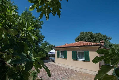 Ferienhaus mit Klimaanlage und Terrasse