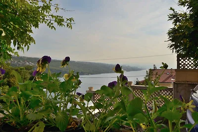 Appartamento Vacanza con famiglia Korcula città