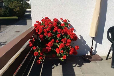 Ferienwohnung mit grosser Terrasse im