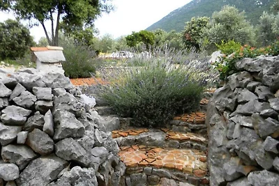 Studio mit Internet und Garten