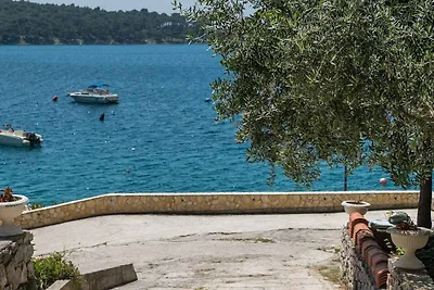 Ferienwohnung Gardenia B4