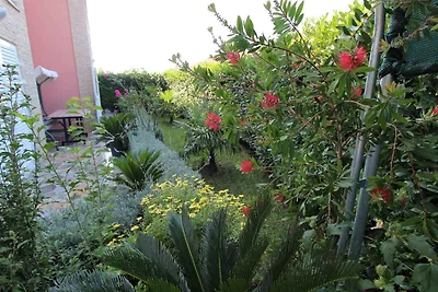 Ferienwohnung mit Balkon und Meerblick