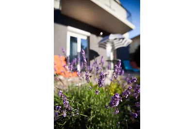 Vakantieappartement Gezinsvakantie Siofok