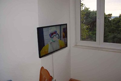 Ferienwohnung 300 m zur Adria