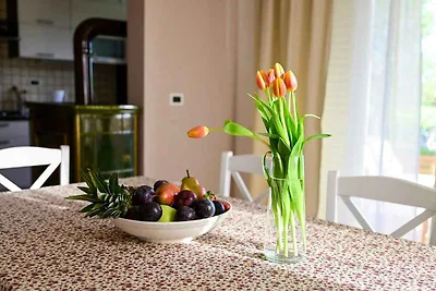 Domek letniskowy Urlop wypoczynkowy Valentici