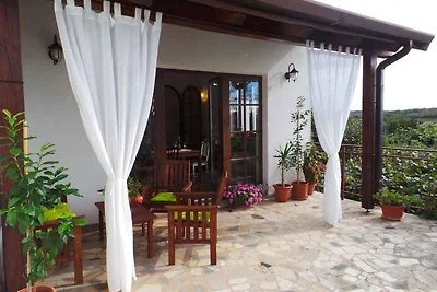 Ferienhaus mit Garten und Grill