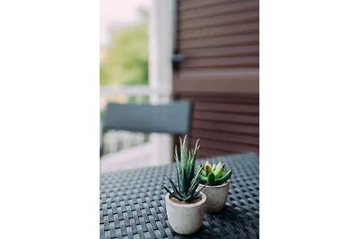 Ferienwohnung mit Meerblick und Pool