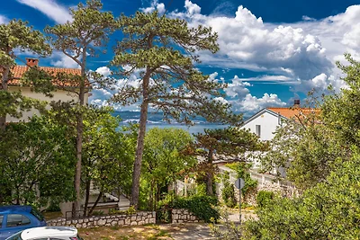Appartamento Vacanza con famiglia Novi Vinodolski