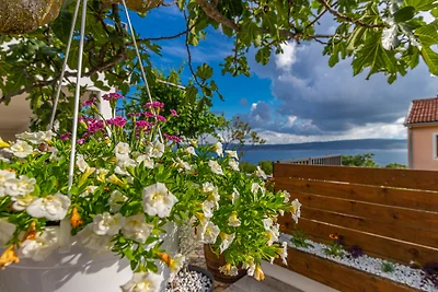 Studio mit Meerblick und Pool