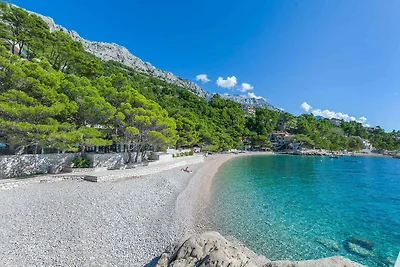 Vakantieappartement Gezinsvakantie Brela