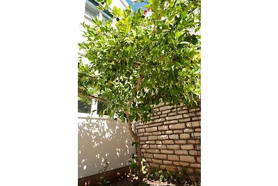 Ferienhaus mit Terrasse und Klimaanlage