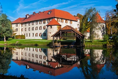 Vakantiehuis Ontspannende vakantie Trebnje