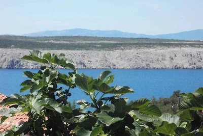 Appartamento Vacanza con famiglia Jadranovo