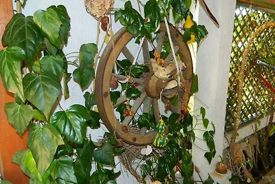 apartman za odmor Obiteljski odmor Vrboska