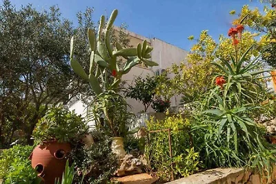 Ferienwohnung mit Klimaanlage und Meerblick
