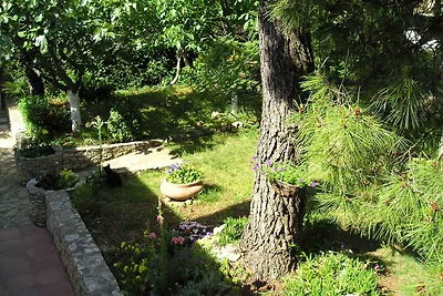 Ferienwohnung mit Terrasse und