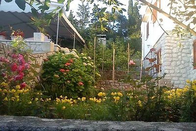 Ferienwohnung mit Terrasse und Internetzugang