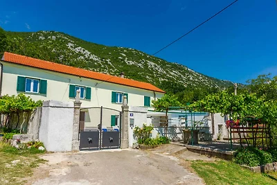 Ferienhaus mit Pool und Grill
