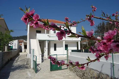 Casa vacanze Vacanza di relax Vinisce