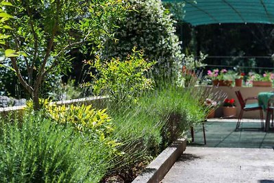 Ferienwohnung mit Aussendusche im Garten