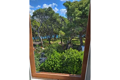 Holiday home relaxing holiday Rogoznica