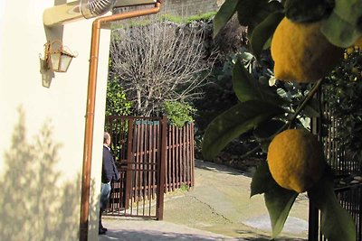 Ferienhaus mit Blick auf Zitronengarten