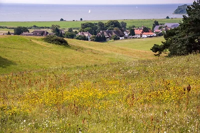 Ferienwohnung auf dem schönen Insel-Rügen mit