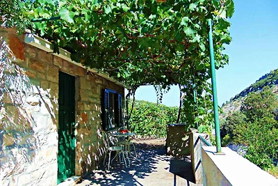 Ferienhaus mit Grill