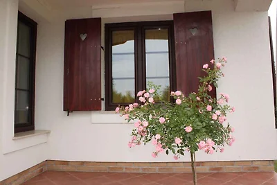 Ferienhaus mit Pool und Klimaanlage