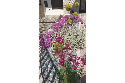 Apartment mit einem Schlafzimmer, Ljubica, nu