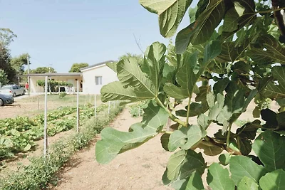Ferienhaus inmitten der Natur