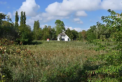 Casa vacanze Vacanza di relax Poseritz